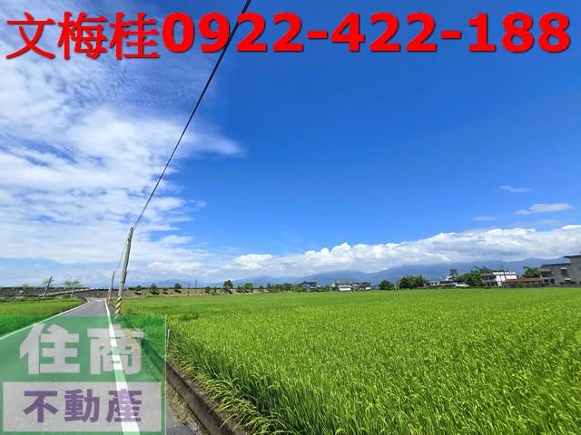 宜蘭壯圍農地-2