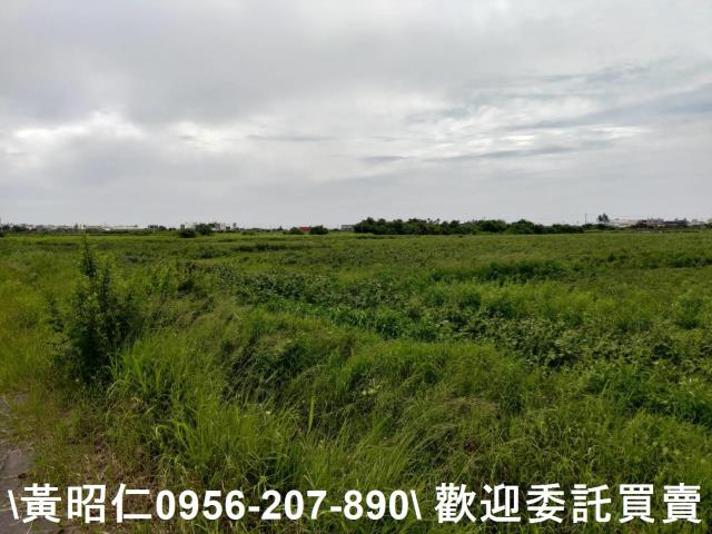 台南七股農地-2