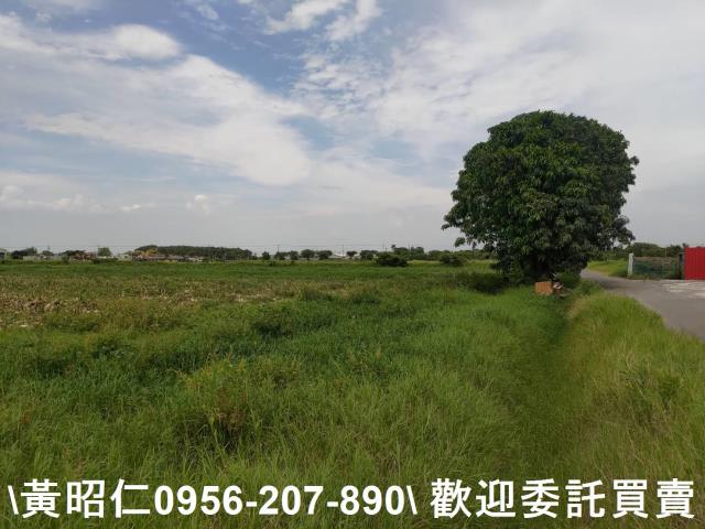 台南七股農地-6