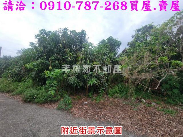 台南楠西建地-10