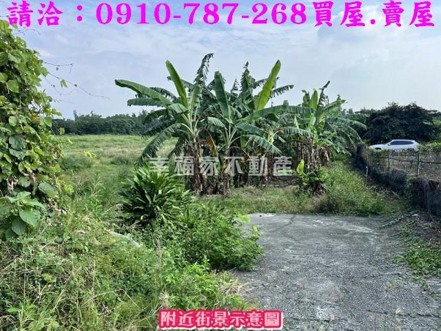 台南山上農地-5