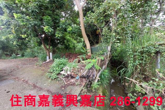 嘉義農地-7