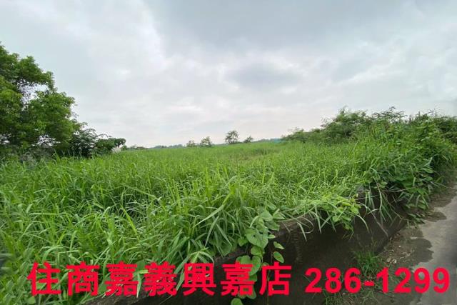 台南建地-6