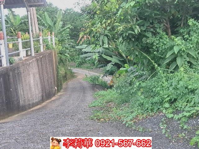 左鎮農地-4