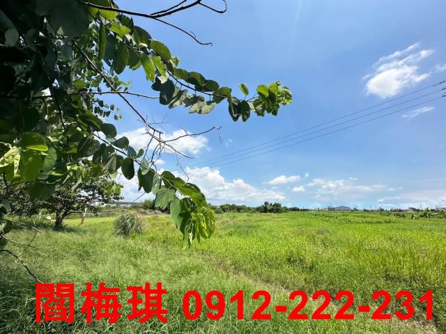 台南永康農地-2