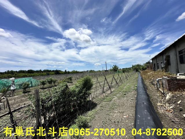 彰化溪湖農地-1