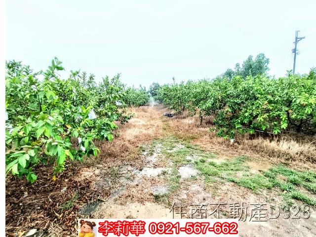 台南楠西農地-9