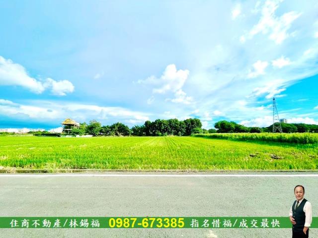 台南善化農地-6