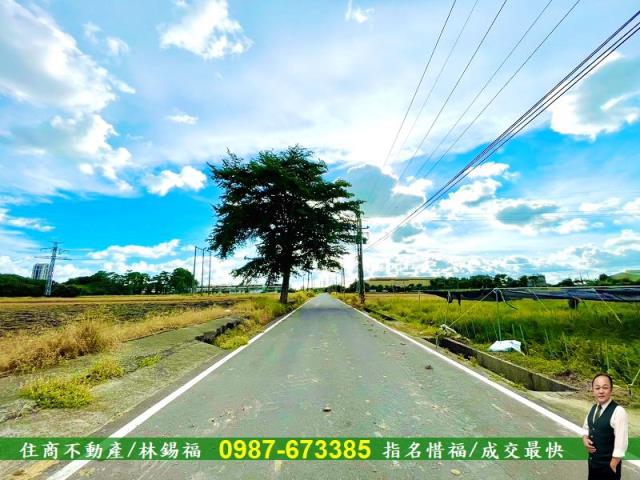 台南善化農地-7