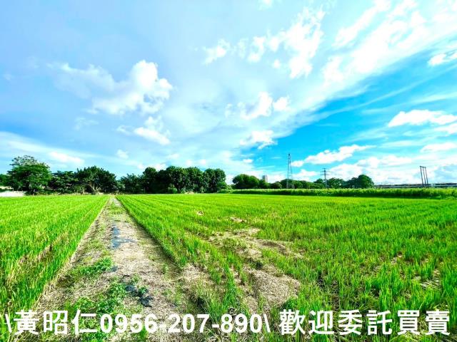 善化農地-4