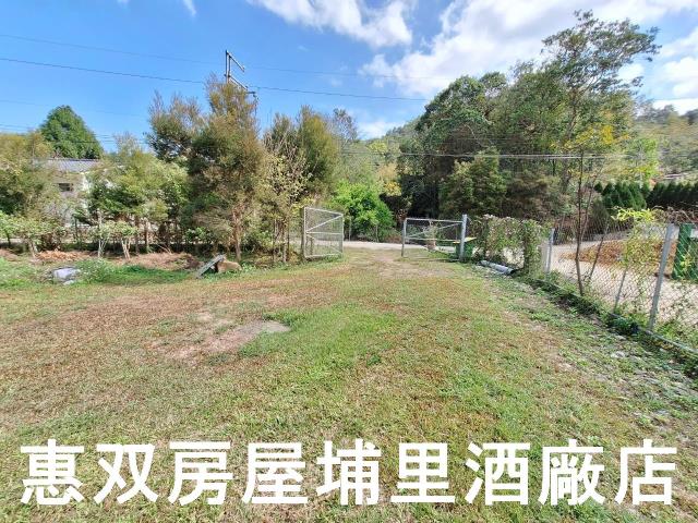 魚池農地-2