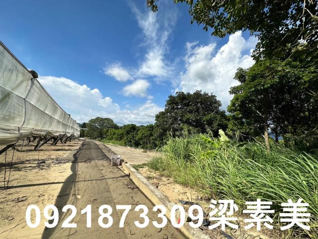 玉井農地-3