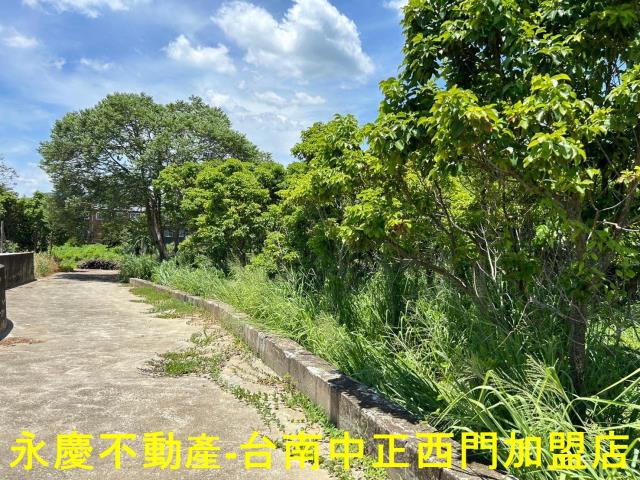 玉井農地-10