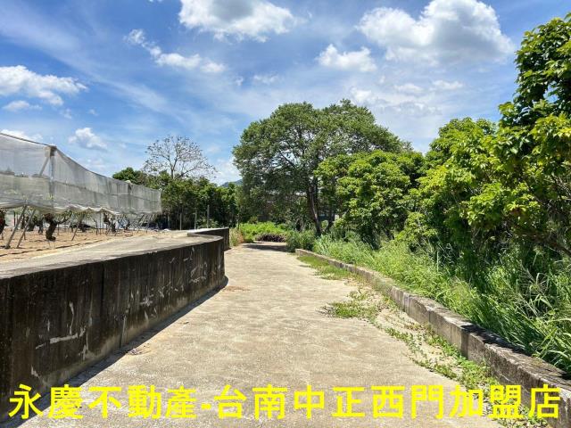 玉井農地-11