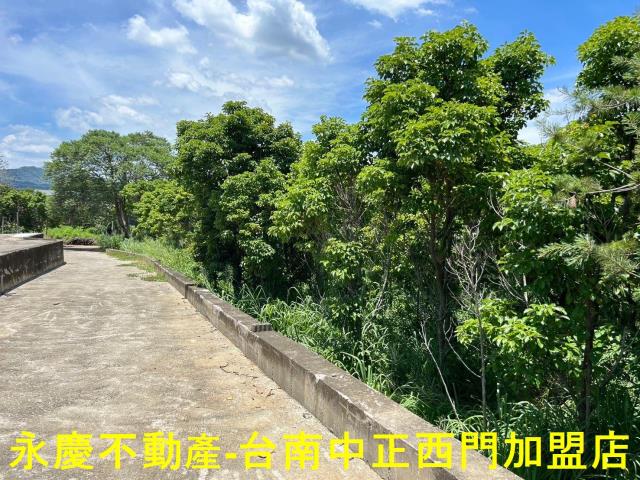 玉井農地-12
