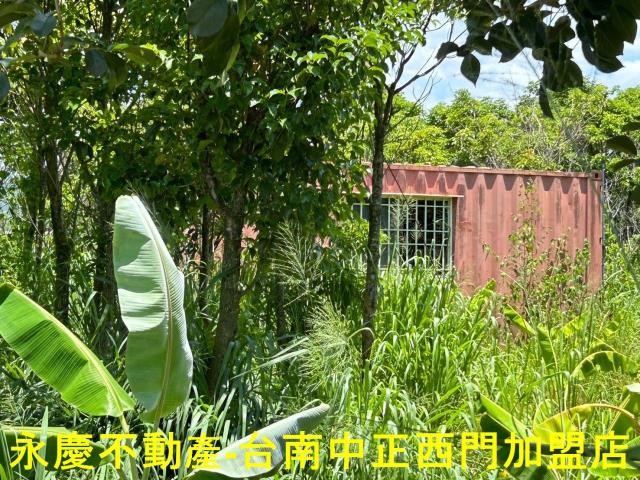 玉井農地-14