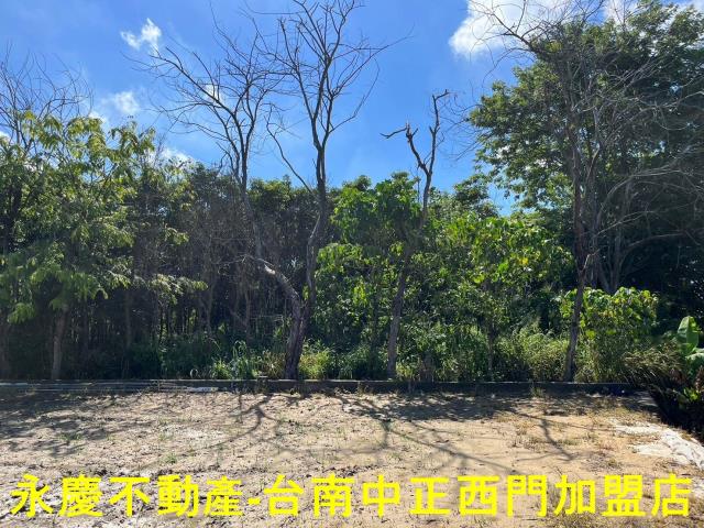 玉井農地-3