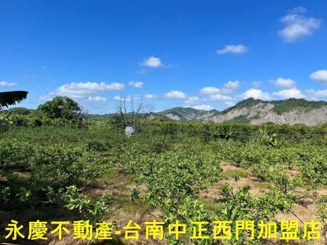 玉井農地-5