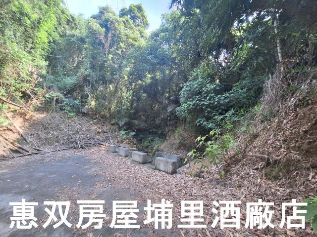 南投市農地-2