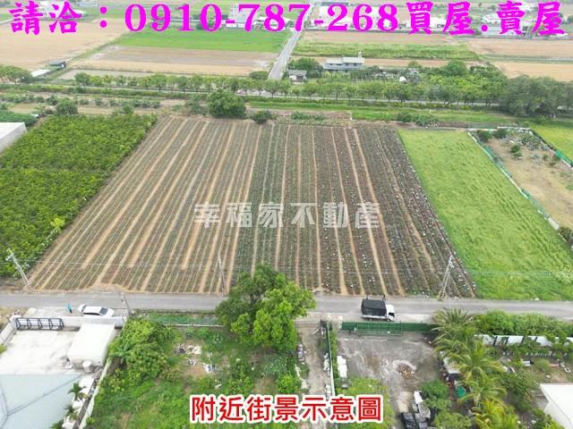 新化農地-2