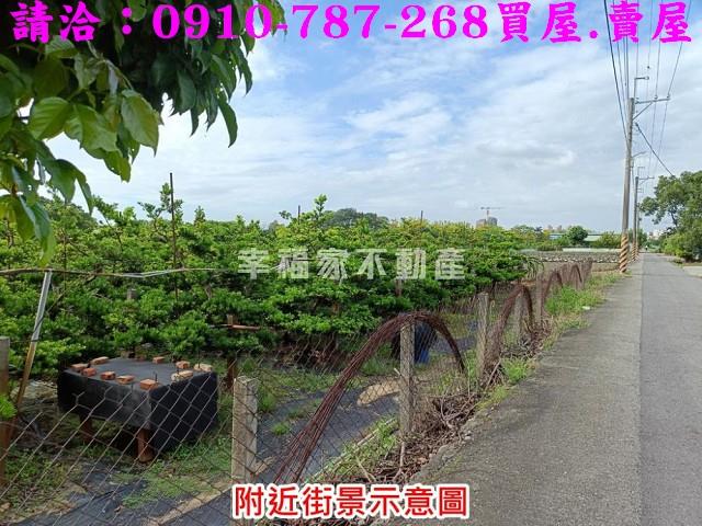 新化農地-9