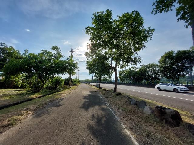 大內農地-3