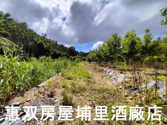 埔里農地-3