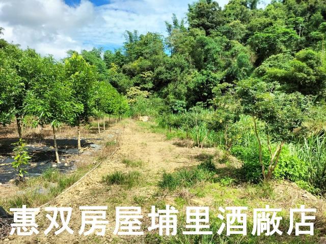 埔里農地-6