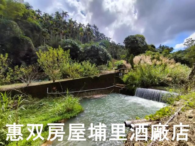埔里農地-7