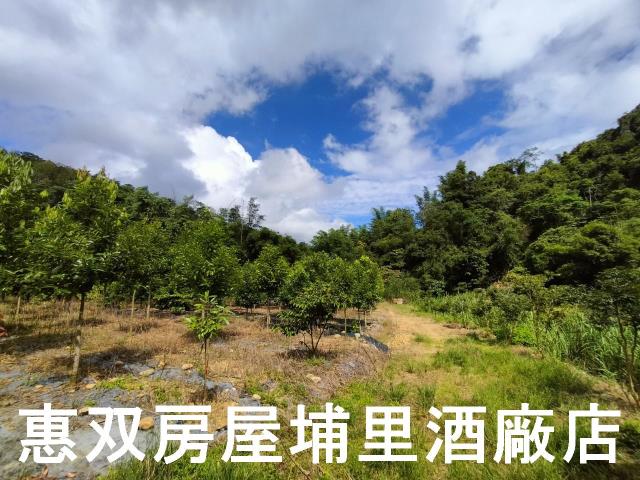 埔里農地-8