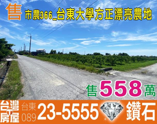 台東台東市農地-1