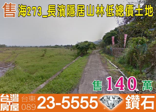 長濱農地-1