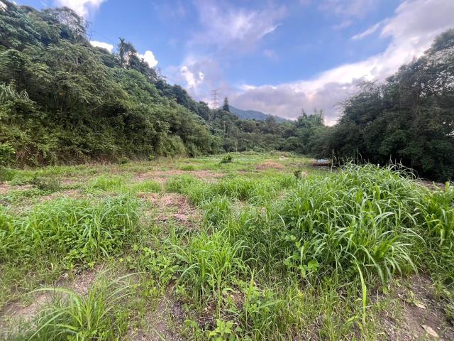 南投山坡地-14