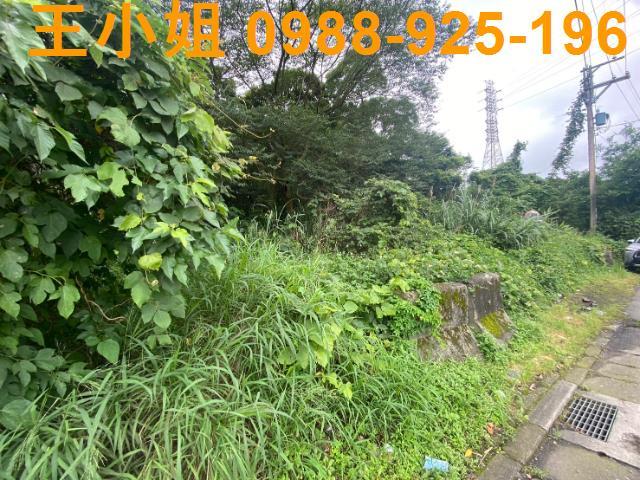 桃園平鎮農地-3