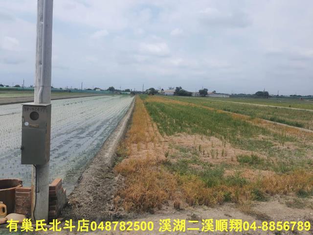 二崙農地-2