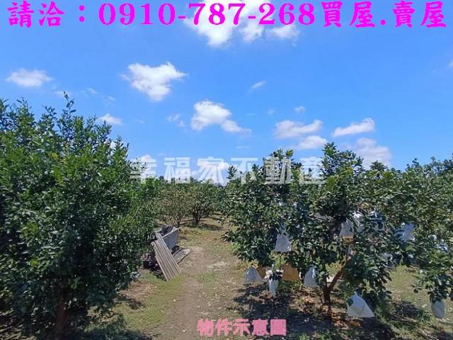 台南麻豆農地-4
