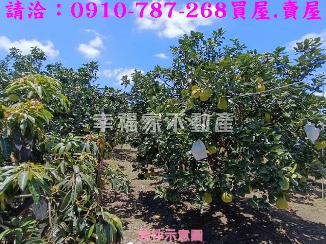 台南麻豆農地-6