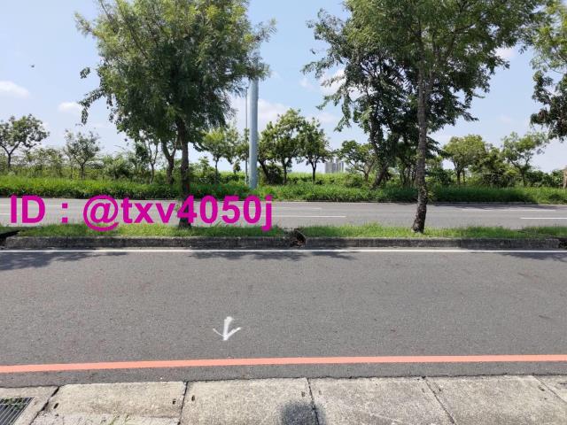 新市農地-1