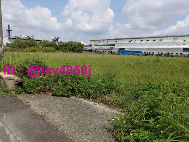 新市農地-2