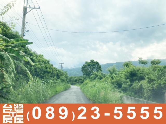 鑽石台東房地產買賣