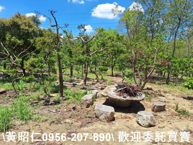 台南山上農地-11