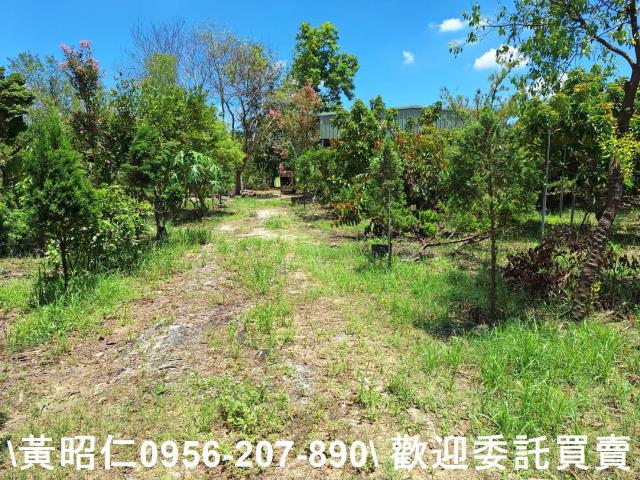 台南山上農地-12