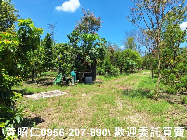 台南山上農地-4