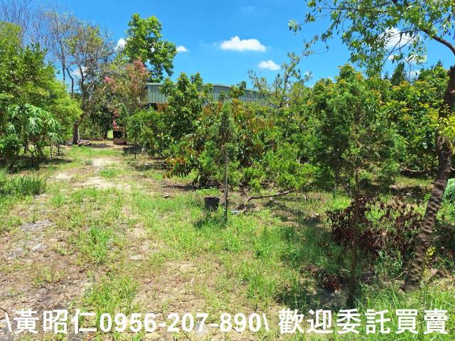 台南山上農地-5