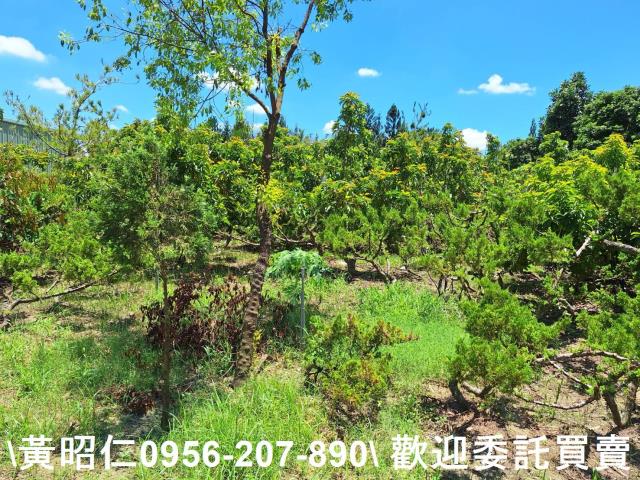 台南山上農地-6