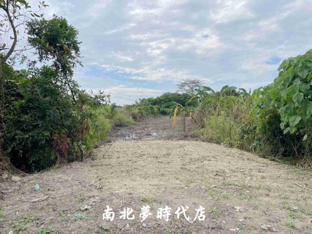 台南大內農地-3