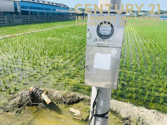 彰化竹塘農地-4