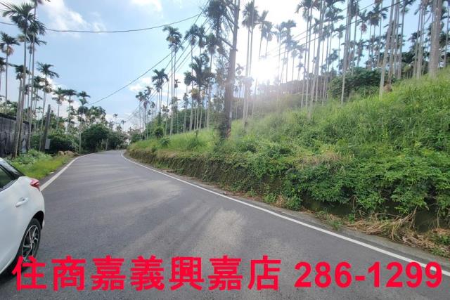 嘉義中埔農地-1