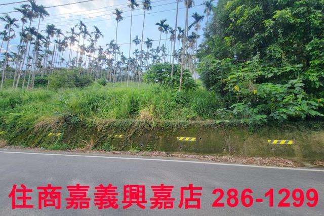 嘉義中埔農地-6