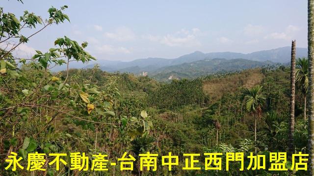 台南白河林地-8